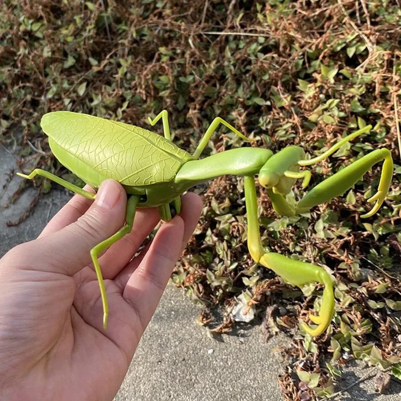 RC Animal Robot Antistress Insect Toys Infrared Simulation Spider Bee fly mantis Electric Toy for Children Prank Insects pet toy 250729