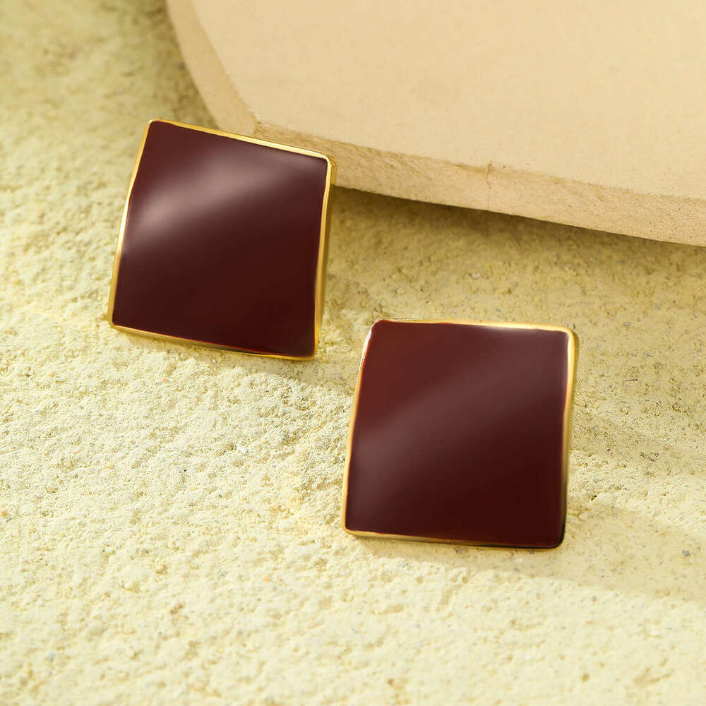 Geometric Square Stainless Niche Design Sense Light Titanium Steel Earrings