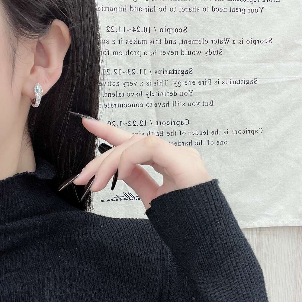 INS Dia-Studded Snake-Shaped Earrings for Women, Light Niche Design, High-End Hoop Earrings, Unique Cold Style Ear Jewelry 0d7