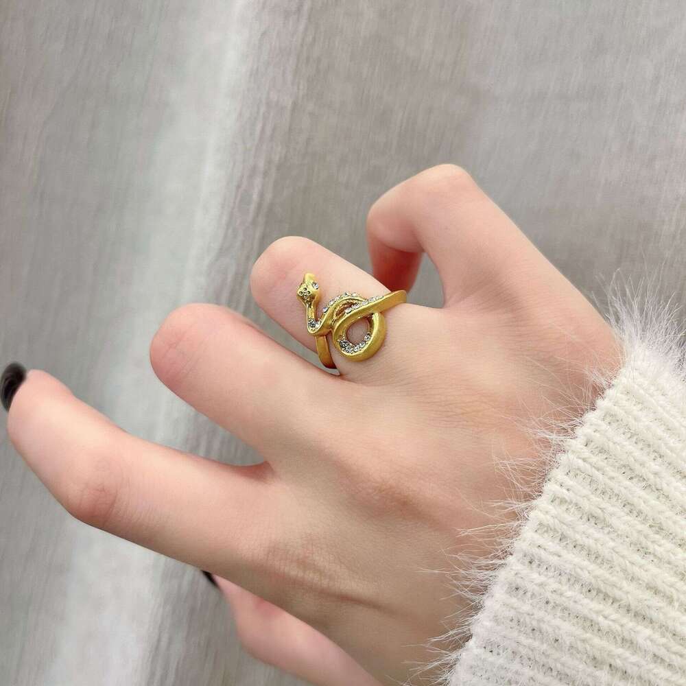 2024 New Brushed Wrapped Snake Minimalist Unique Personality Punk Vintage Niche Design Index Finger Ring 159