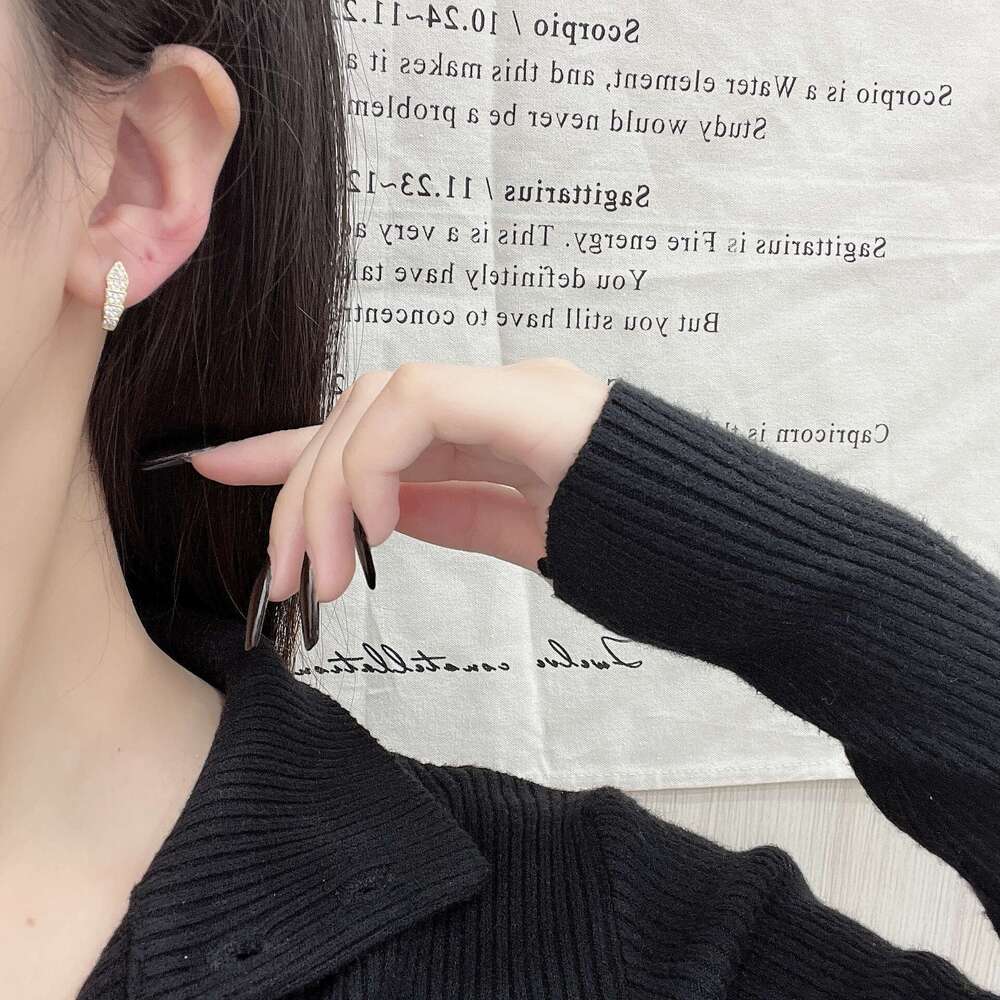 INS Dia-Studded Snake-Shaped Earrings for Women, Light Niche Design, High-End Hoop Earrings, Unique Cold Style Ear Jewelry 0d7
