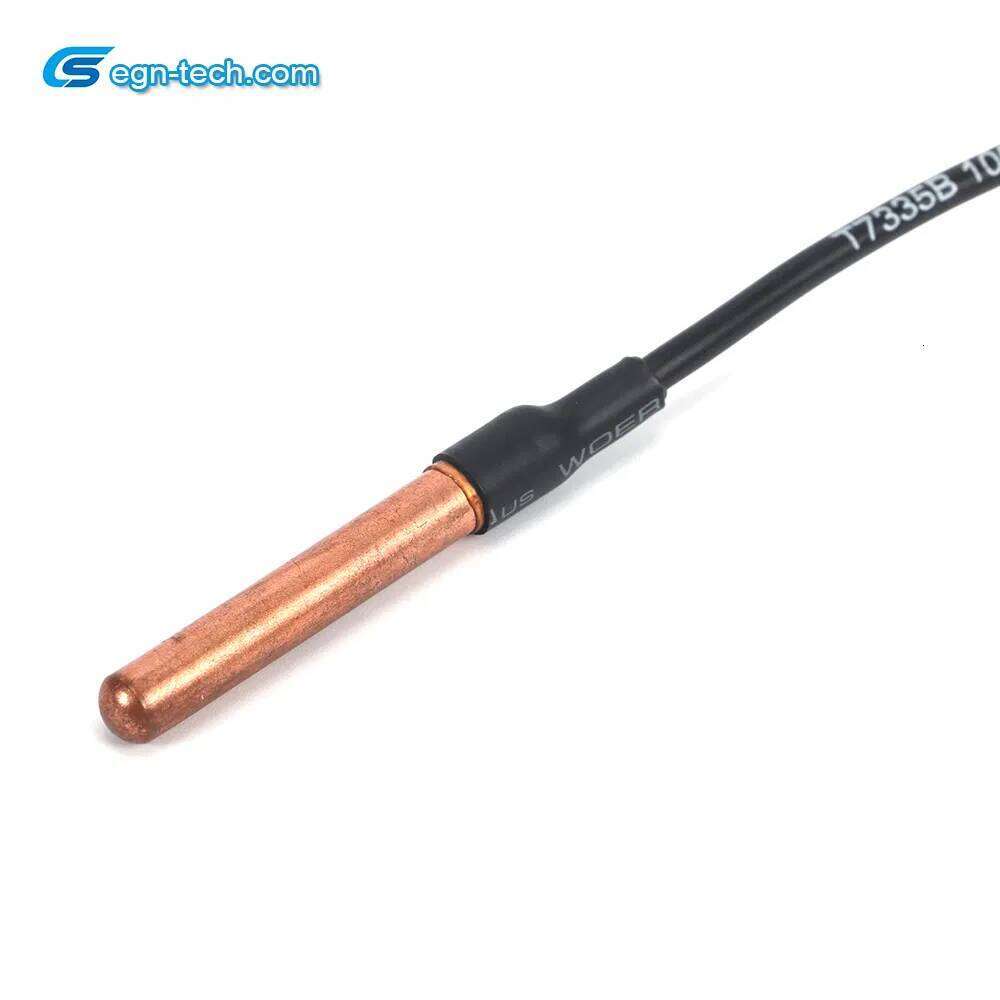NTC Temperature Sensor Manufacturer Ntc Sensor/Thermistor for Water Heater Temperature Detection EG-N022