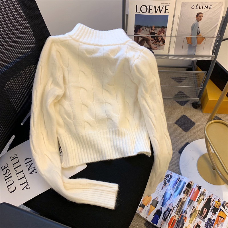 Korean-style short retro cable knit stand collar sweater coat for women collegiate autumn and winter embroidered knit cardigan top