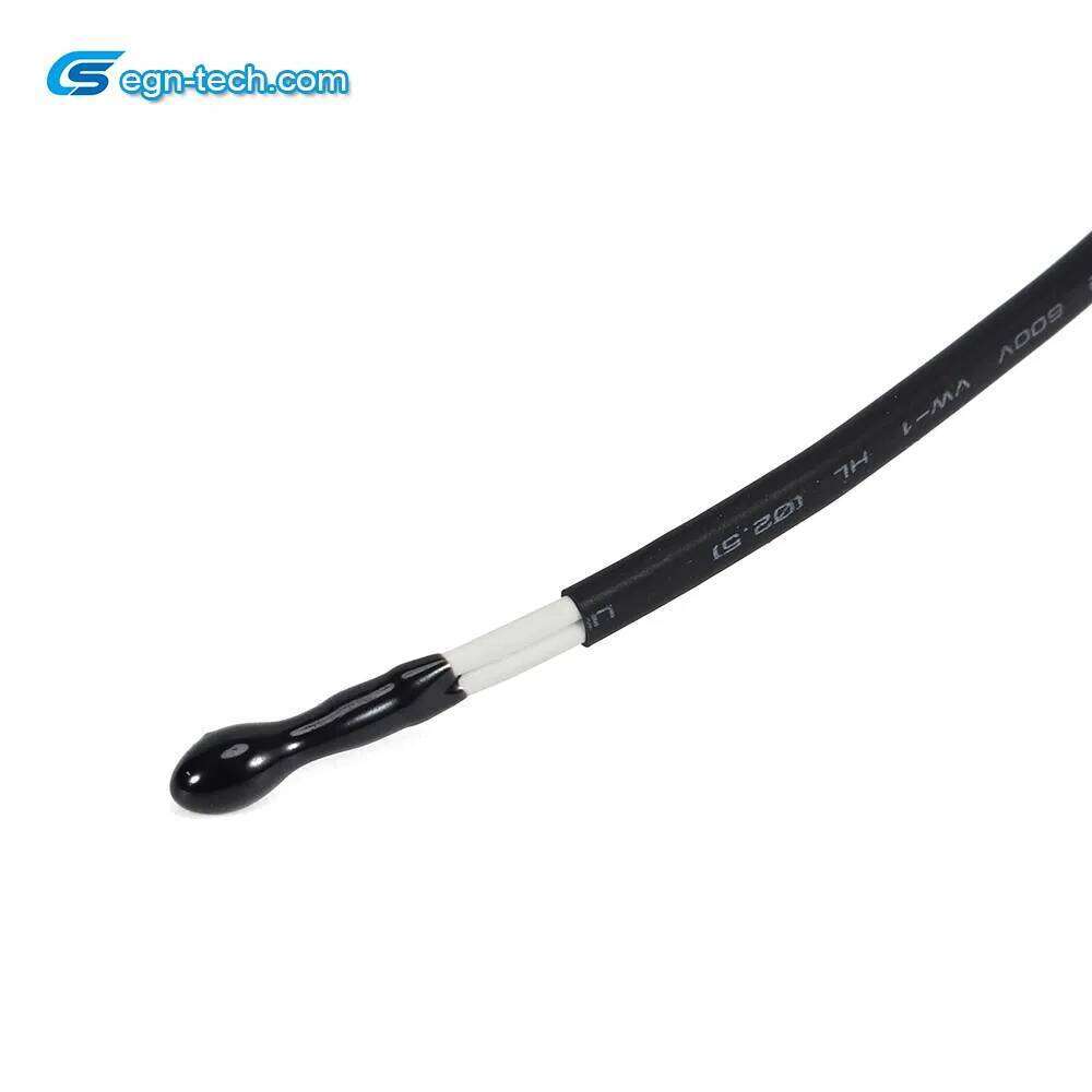 Customized Ntc Temperature Sensor for Air Conditioning Room Electric Motor EG-N018