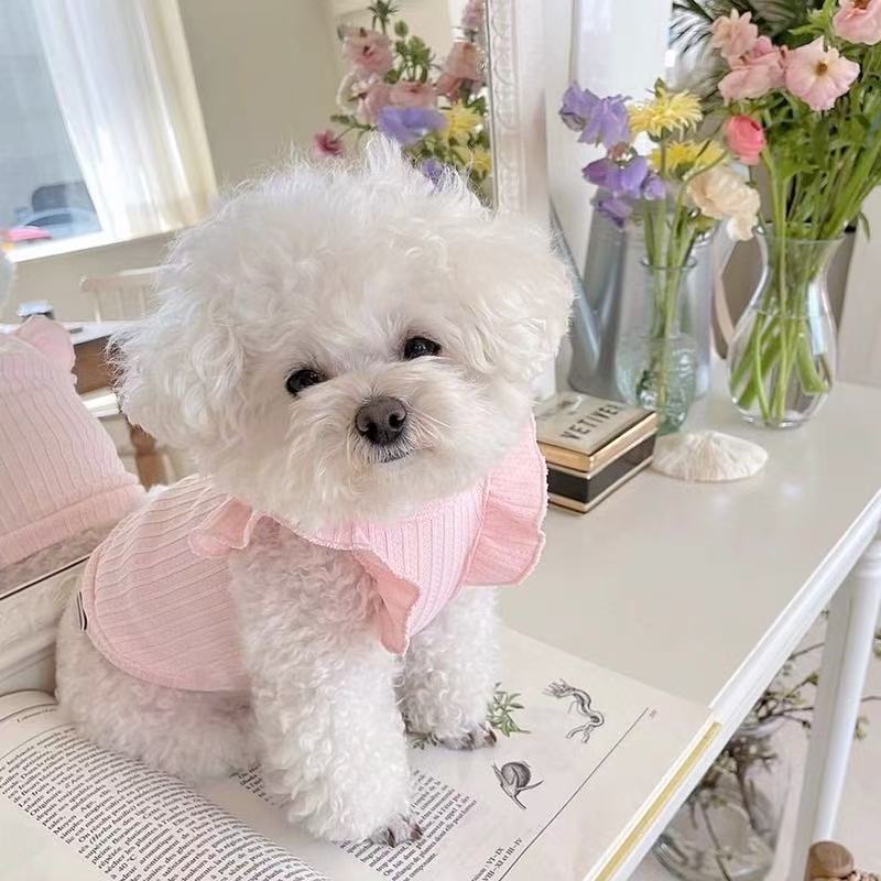 T848 Dog clothes autumn and winter dress Teddy Bichon Pomeranian small dog pet cat poodle spring and autumn skirt