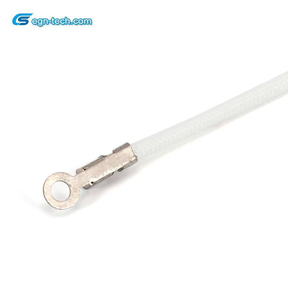 NTC Temperature Sensor Manufacturer Ntc Sensor/Thermistor for Temperature Detection in The Oven/Roaster Evaporating Tray EG-N026