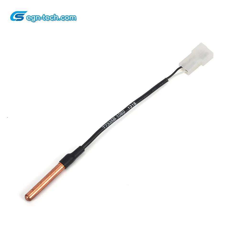 NTC Temperature Sensor Manufacturer Ntc Sensor/Thermistor for Water Heater Temperature Detection EG-N022