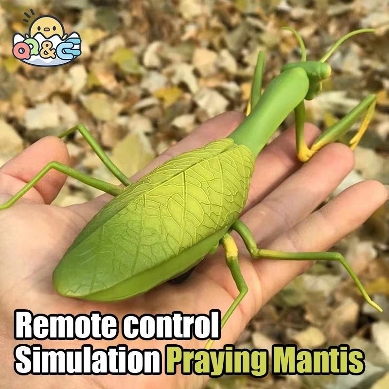 RC Animal Robot Antistress Insect Toys Infrared Simulation Spider Bee fly mantis Electric Toy for Children Prank Insects pet toy 250729