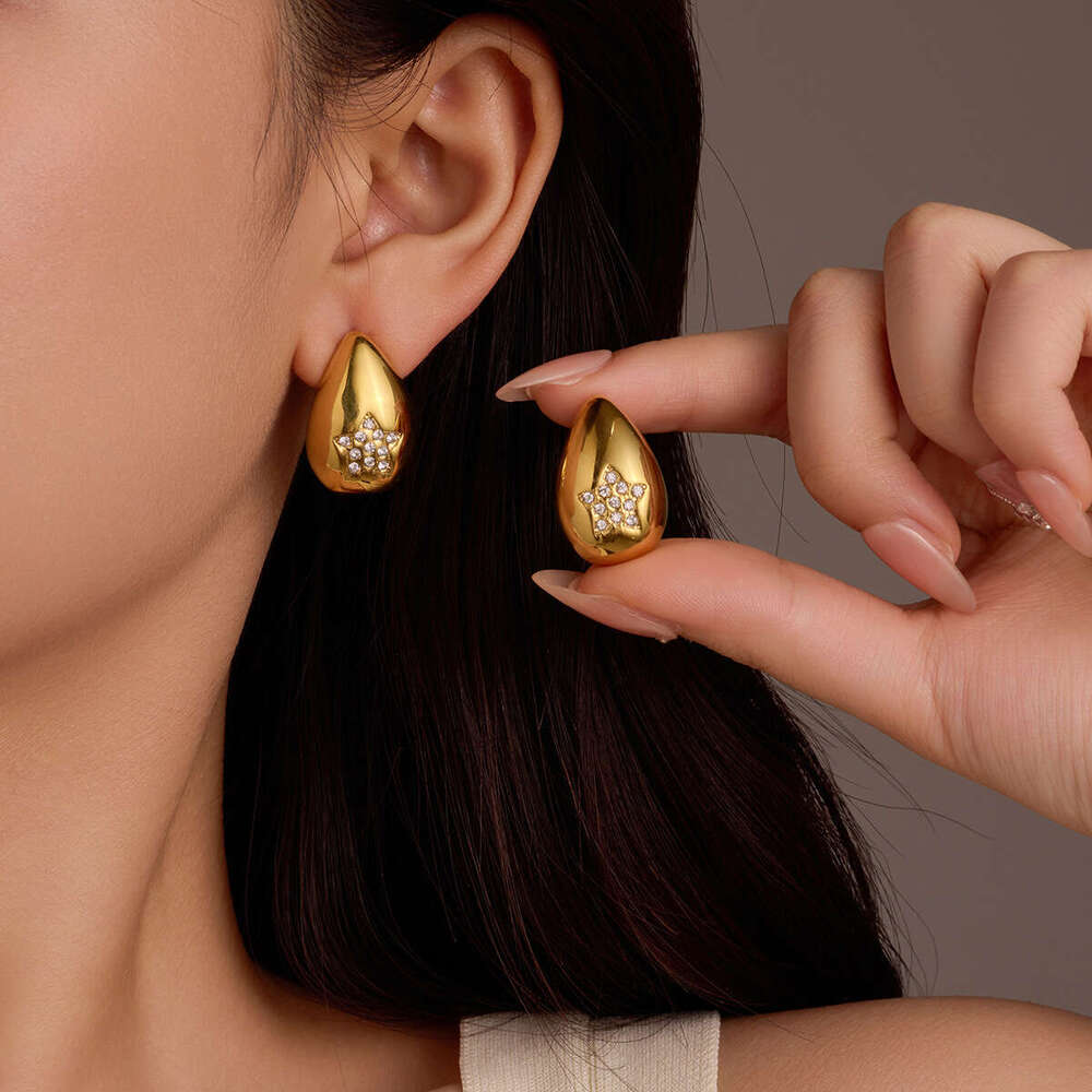 Hot Selling Fashionable High-end 2025 Summer New Stainless Steel Earrings