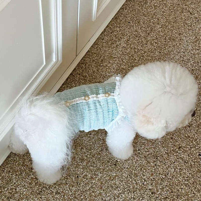 Clothes Spring Summer New Arrival Cat Princess Vest Chanel Style Socialite Pearl Small Dog Teddy Pet