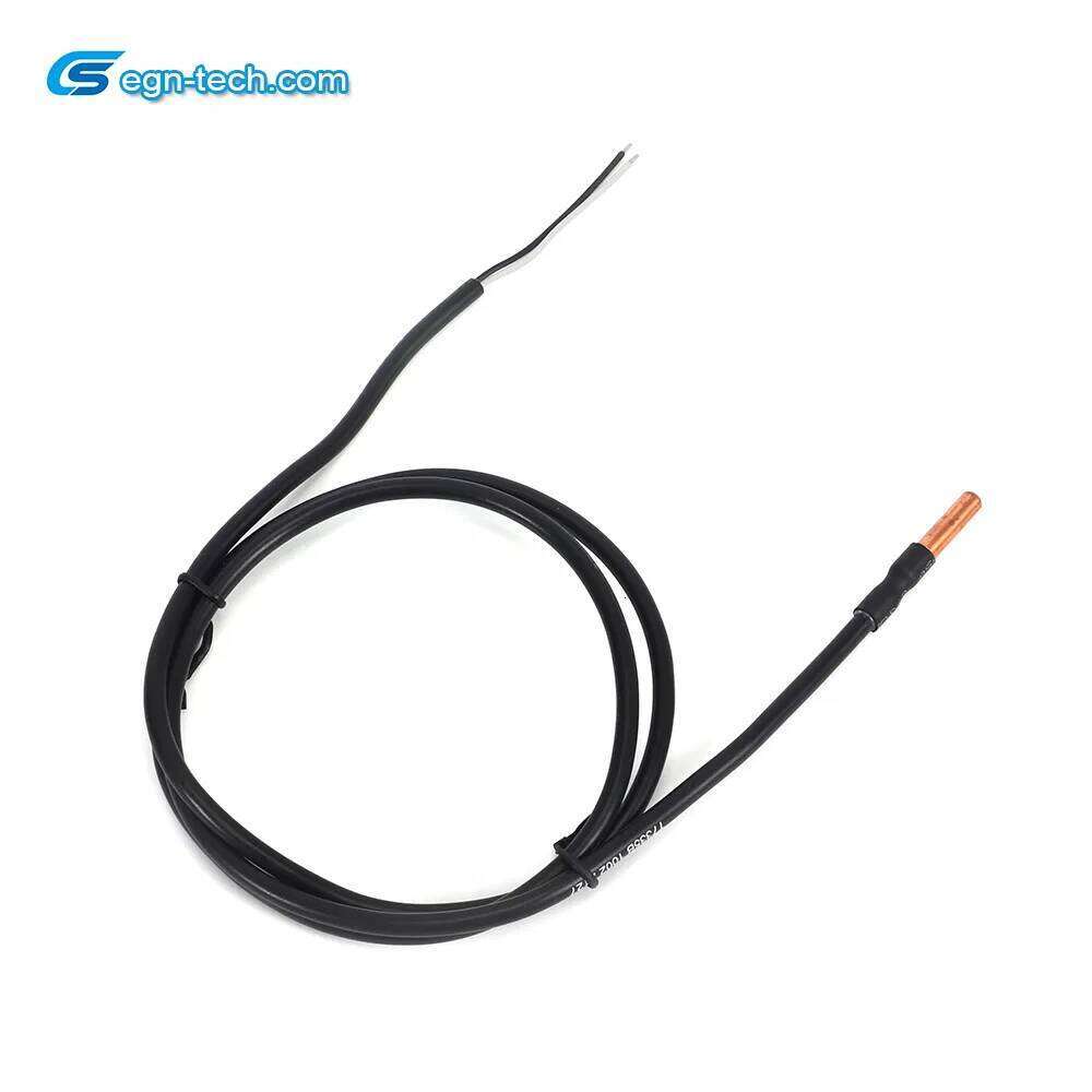 NTC Temperature Sensor Manufacturer Ntc Sensor for Water Heater Temperature Detection EG-N023
