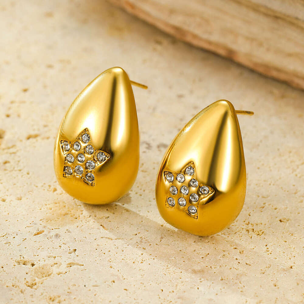 Hot Selling Fashionable High-end 2025 Summer New Stainless Steel Earrings