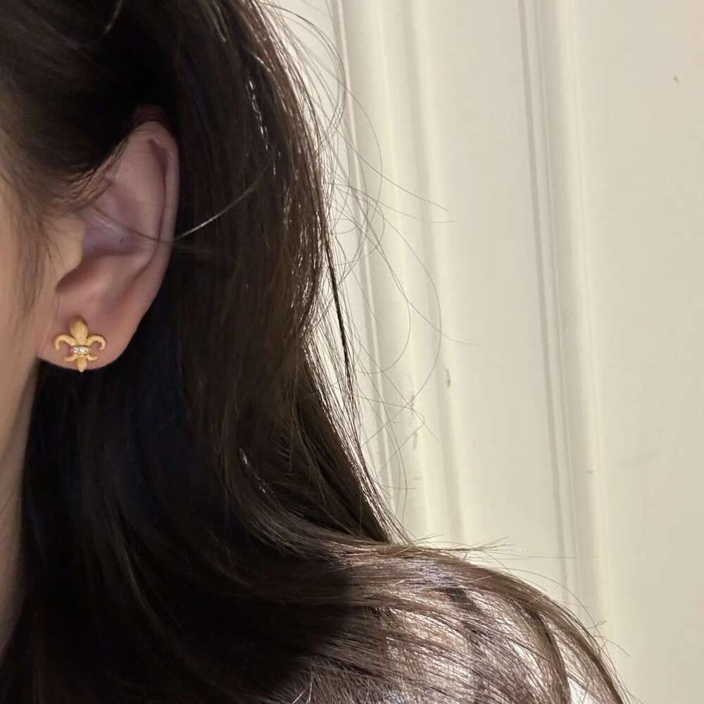 Ouyang Nana Style Iris Flower for Women 2024 New Exquisite Small Electroplated Gold Brushed Earrings e9d