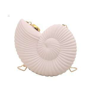 Trendy Niche Design Seashell for Women 2025 New Acrylic Chain Fashion Single Shoulder Crossbody Bag
