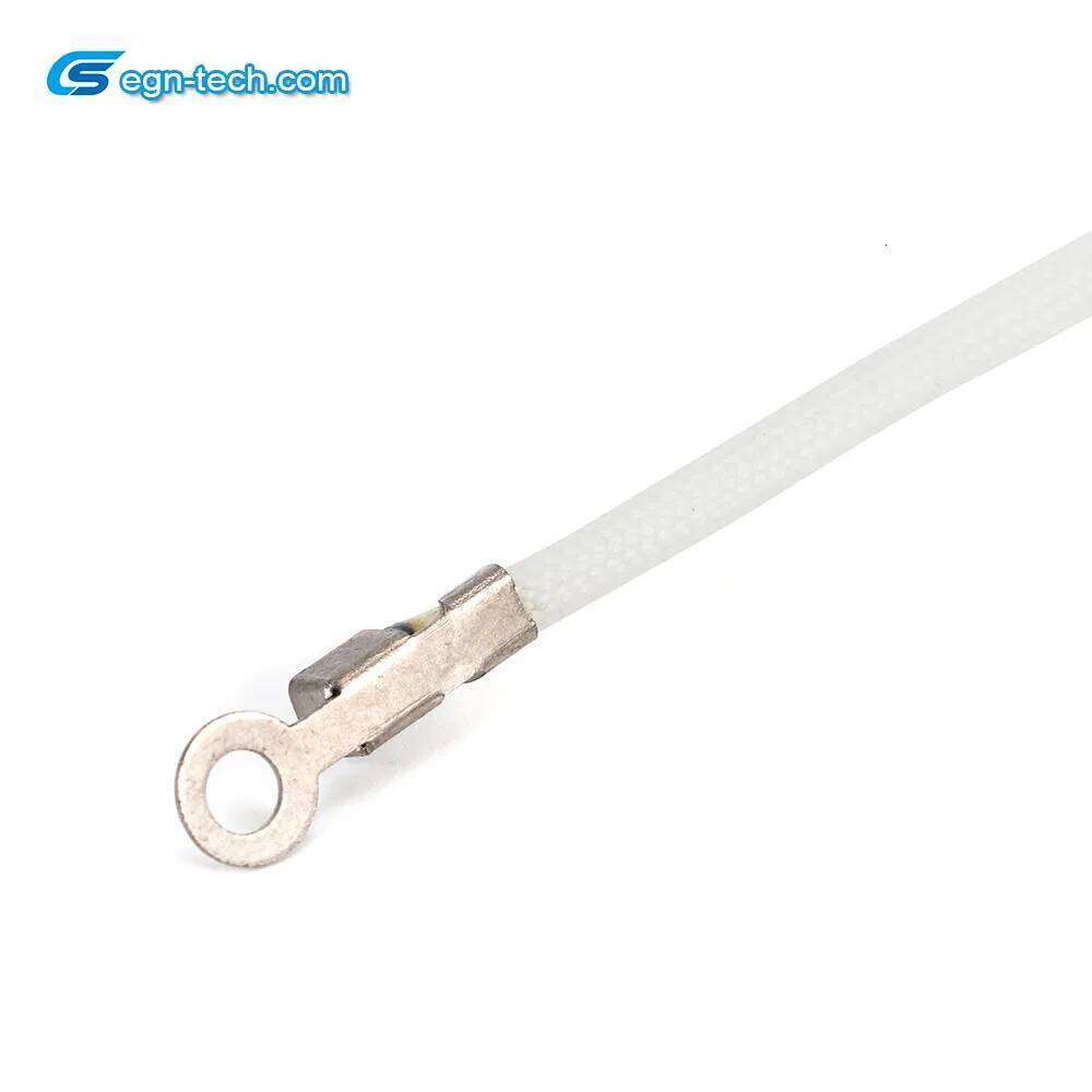 NTC Temperature Sensor Ntc Sensor/Thermistor for Temperature Detection in The Oven Bottom EG-N025