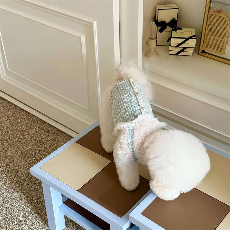 Clothes Spring Summer New Arrival Cat Princess Vest Chanel Style Socialite Pearl Small Dog Teddy Pet