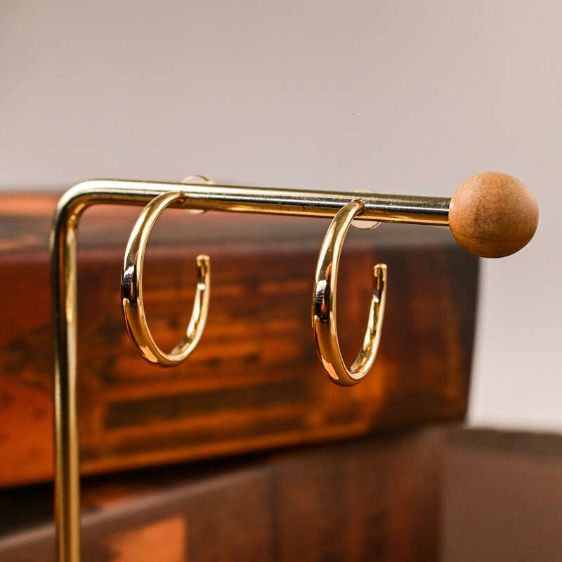 Earrings Hoop Niche Design High-end Ear Jewelry Simple Circle Personality Autumn Winter Women Fashion Versatile New Style