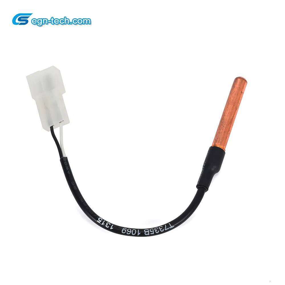 NTC Temperature Sensor Manufacturer Ntc Sensor/Thermistor for Water Heater Temperature Detection EG-N022