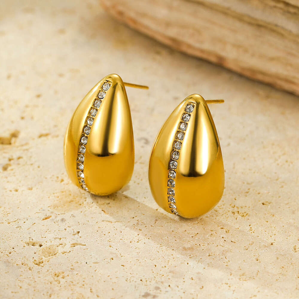 Hot Selling Fashionable High-end 2025 Summer New Stainless Steel Earrings
