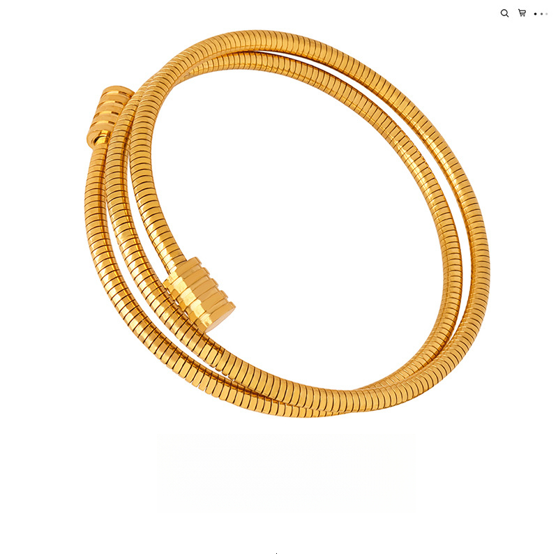 Unique Madam Niche INS Simple Snake Bone Chain Multi-layer Stacking Fashion Versatile Titanium Steel Gold-plated Bracelet Jewelry Designer Bracelet Fo