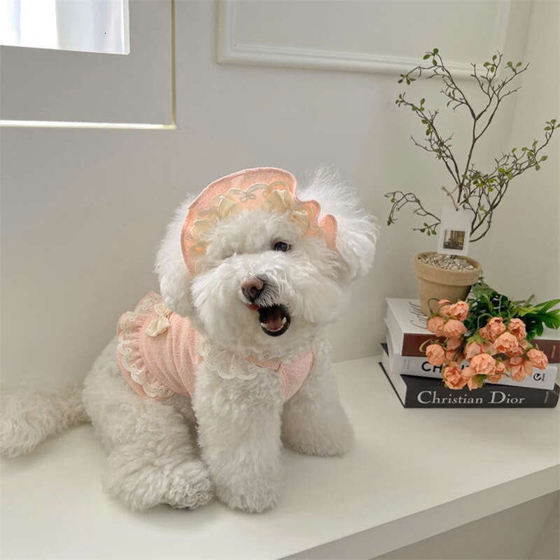 2025 Pet Small and Medium Cat Dog Spring Summer Clothes Set Dresses and Hat