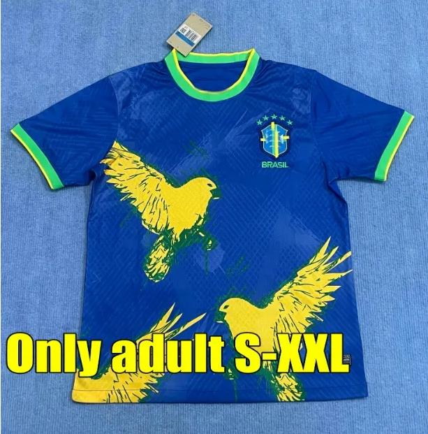 2025 2026 ENDRICK CASEMIRO BrAZiLs Soccer Jerseys RICHARLISON Camiseta RAPHINHA PAQUETA VINI JR RODRYGO Brasil Maillots Football Shirt 24 25 26 Men Ki