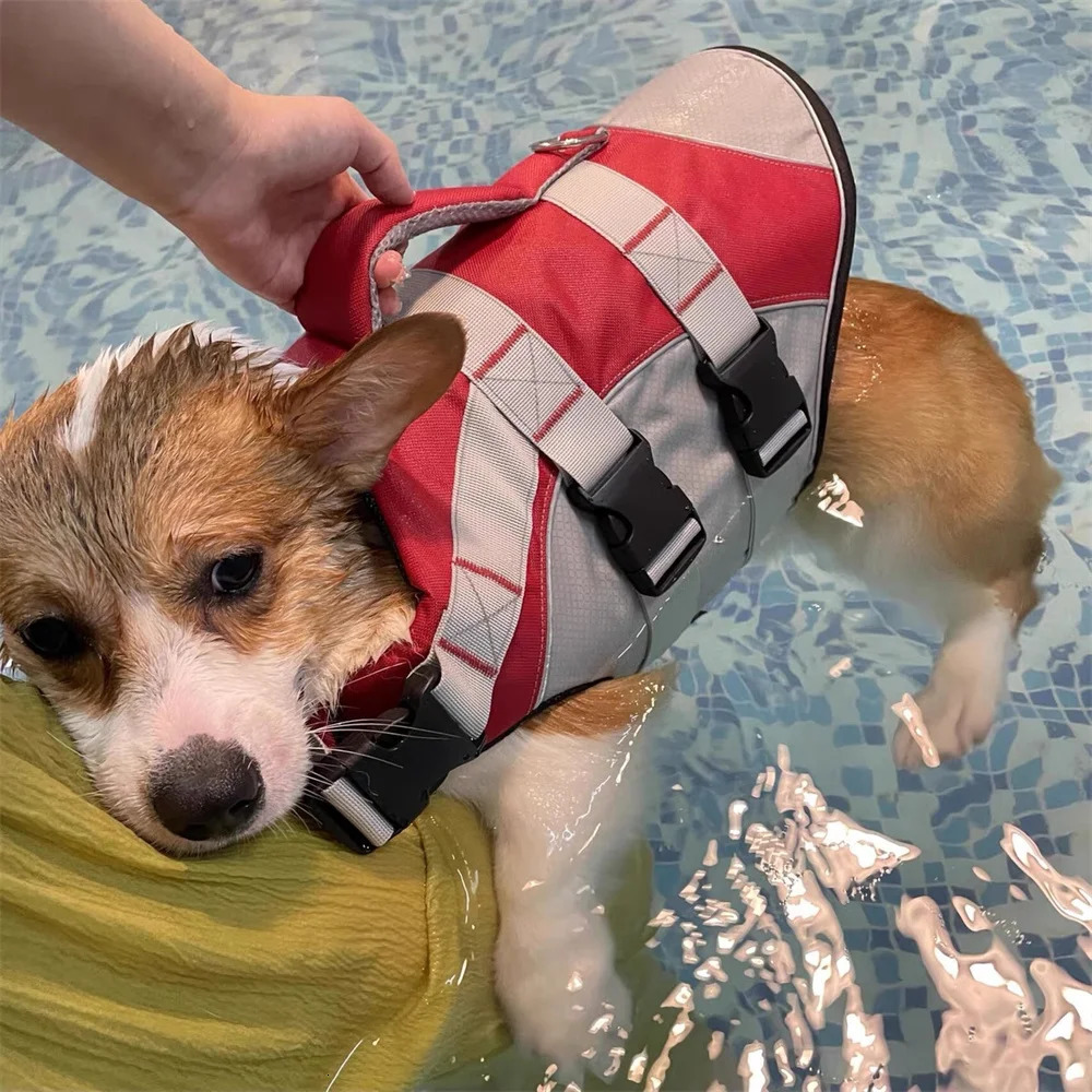 Summer Puppy Dog Life Jacket for Small Medium Dogs Reflective Pet Life Harness Vest Swim Suit French Bulldog Clothes Clothing 250729