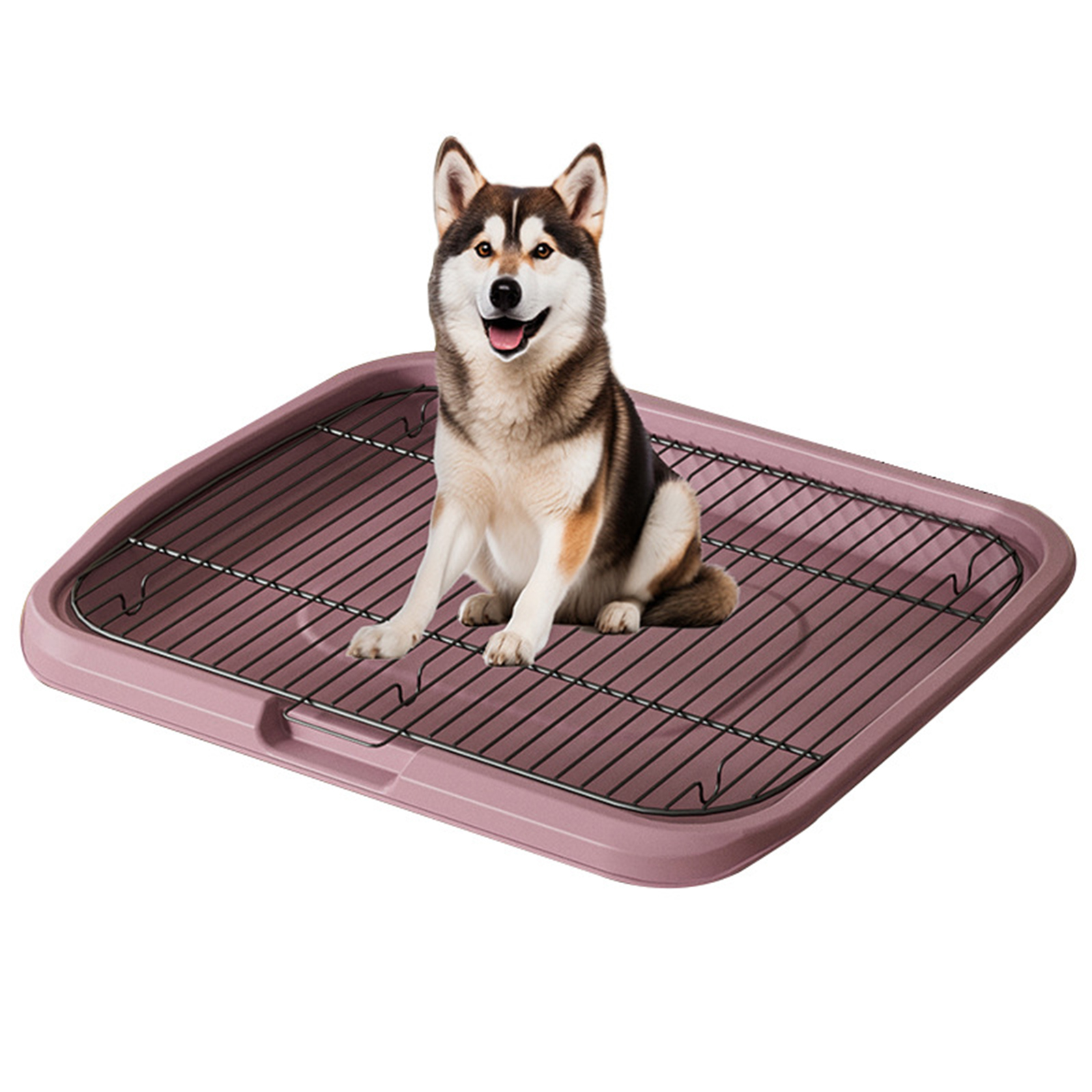 A complete list of medium-sized and large automatic supplies for pet dog toilets, including cleaning, anti stepping pet toilets and small dogs