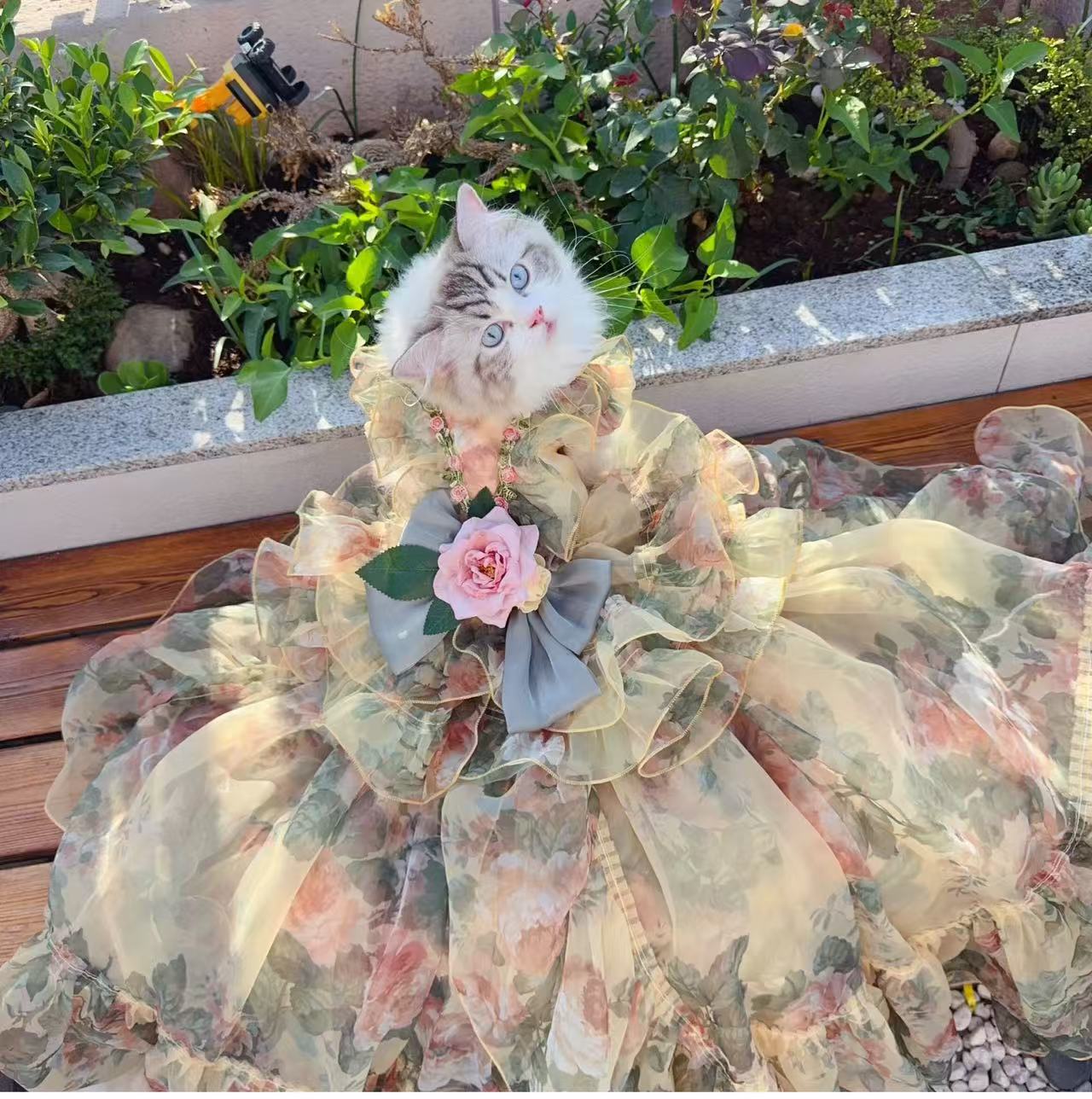 Adorable pet caramel rose heavy-duty flower dress with detachable trailing tail. Original foam pet cat and dog dress.