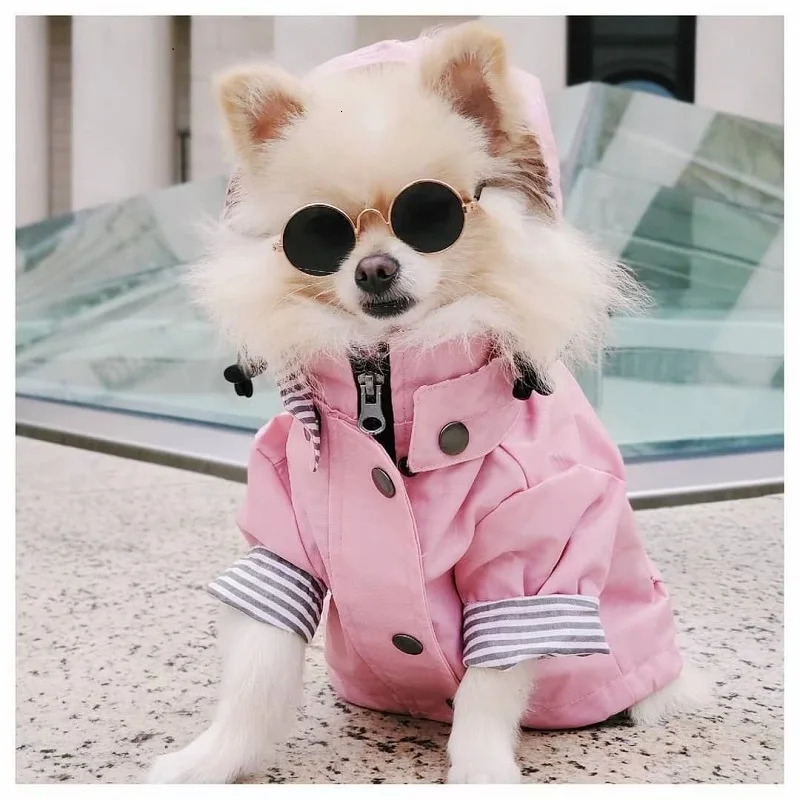 Pet Dog Coat Waterproof Jacket for Small Medium Large Dogs Cats Pet Raincoat Dog Sport Hoodies Popa Perro Pet Fashion Clothes 250729