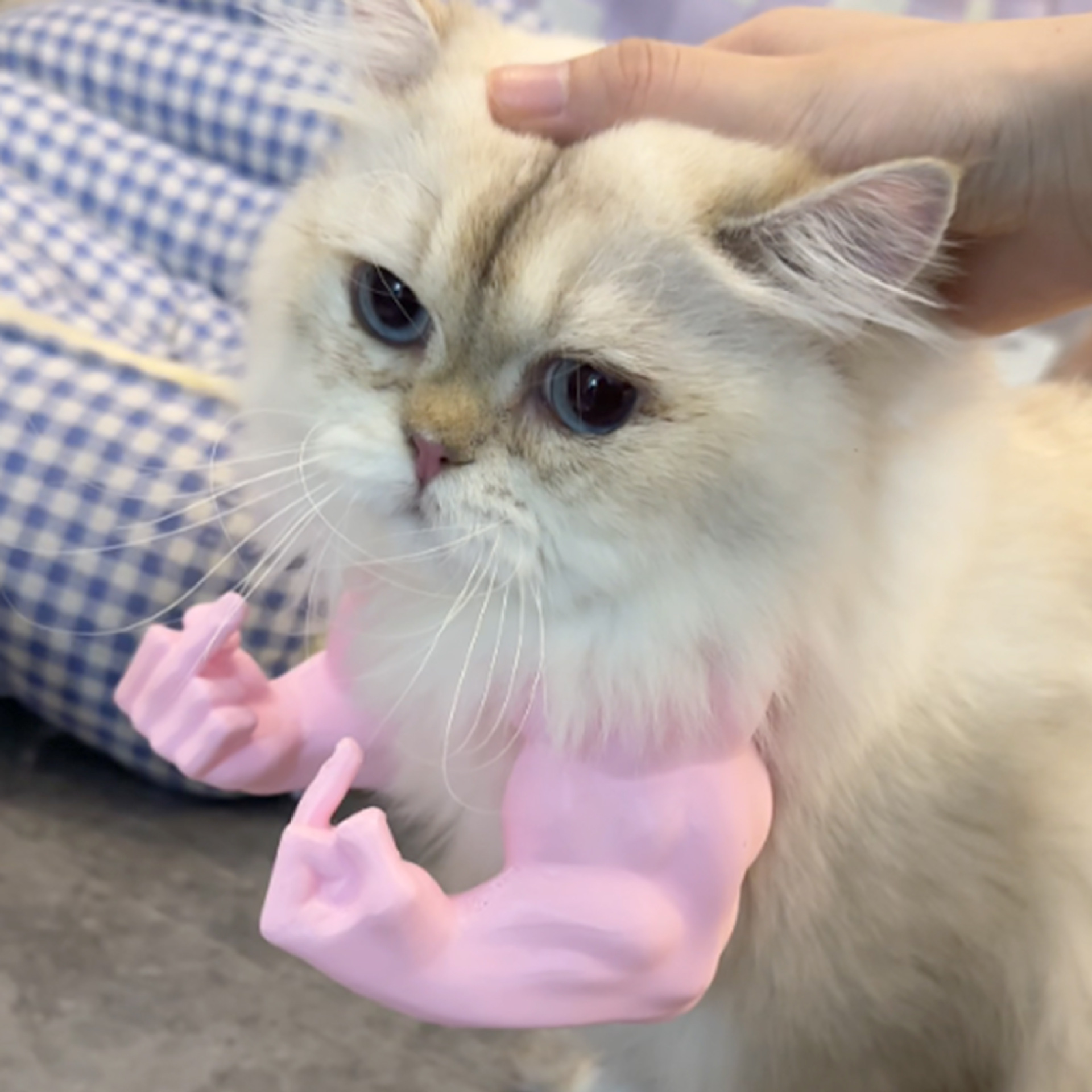 New model Cat Toy Creative Green Giant 3D-printed pet muscle arm toy Creative parody