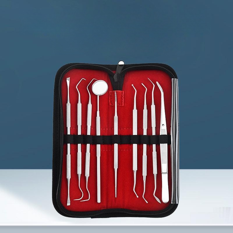 Stainless Steel Teeth Cleaning Set with Leather Case - Professional Dental Tools Kit