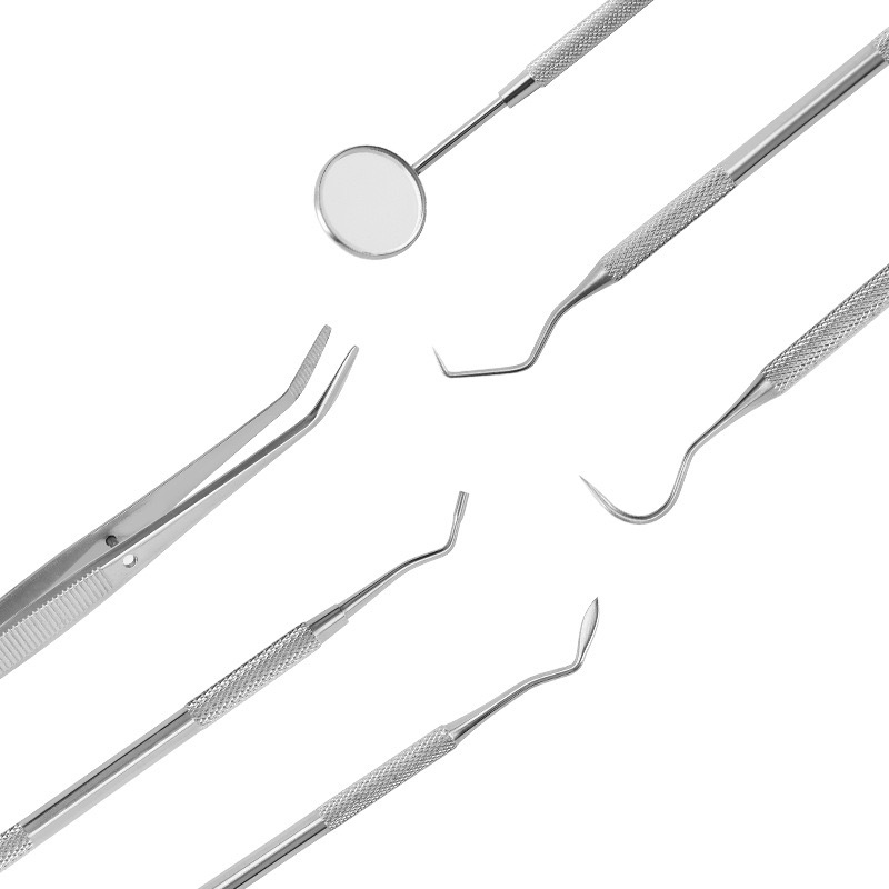 Stainless Steel Teeth Cleaning Set with Leather Case - Professional Dental Tools Kit