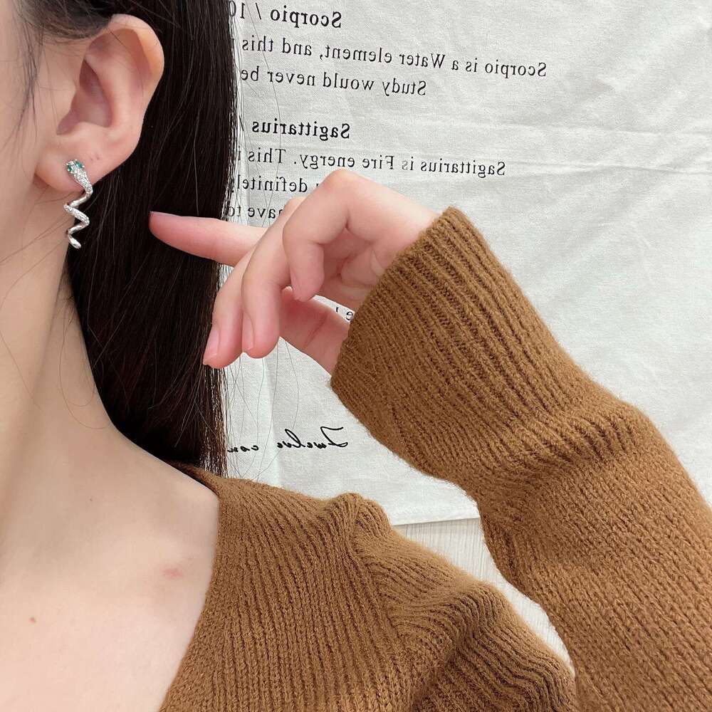 Autumn Winter New Exquisite Fashion Light High-end Micro-inlaid Zircon Snake Spiral Personality Versatile Earrings for Women 603