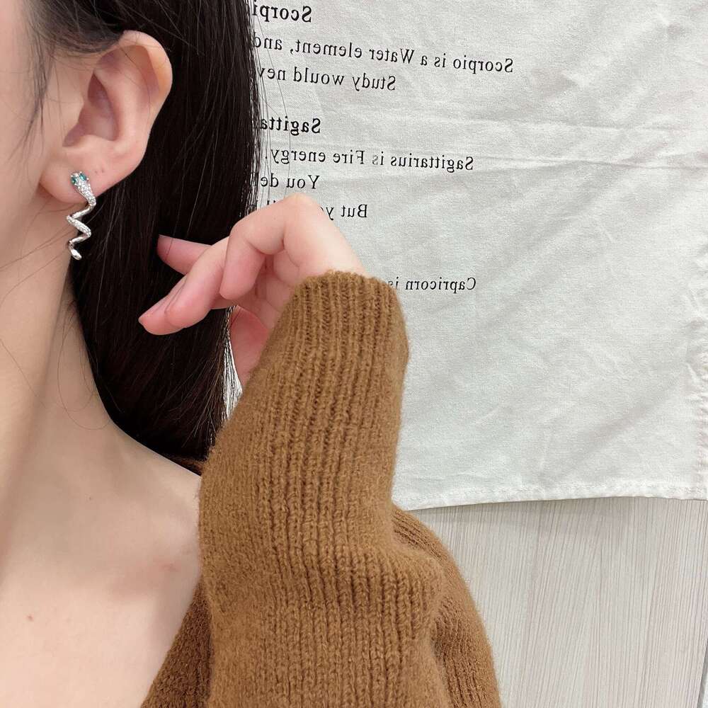 Autumn Winter New Exquisite Fashion Light High-end Micro-inlaid Zircon Snake Spiral Personality Versatile Earrings for Women 603