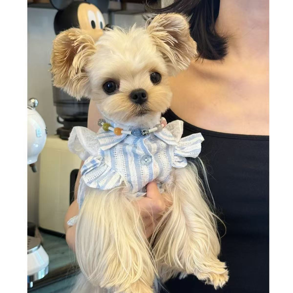 T862 Summer pet puppy clothes for small dogs Teddy Pomeranian Yorkshire Terrier lace clothes love cute skirt thin section