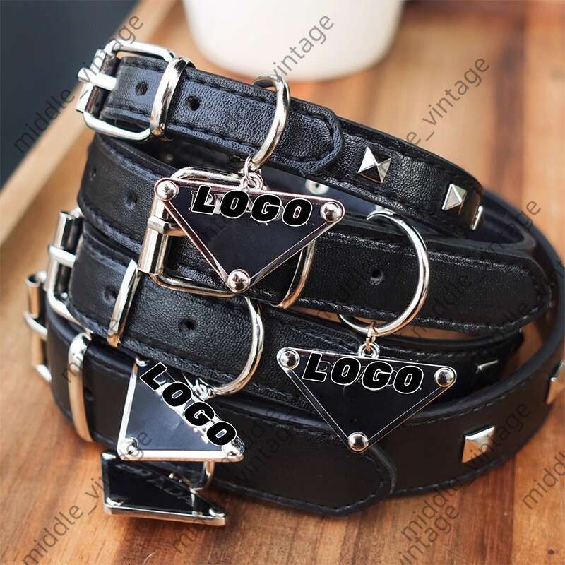 Cat Pet Bag Dog Leash Dog Collar Dog Bag Set Leather Small And Medium Cat Dog Teeth French Bulldog Collar Set Coll Pet Supplies