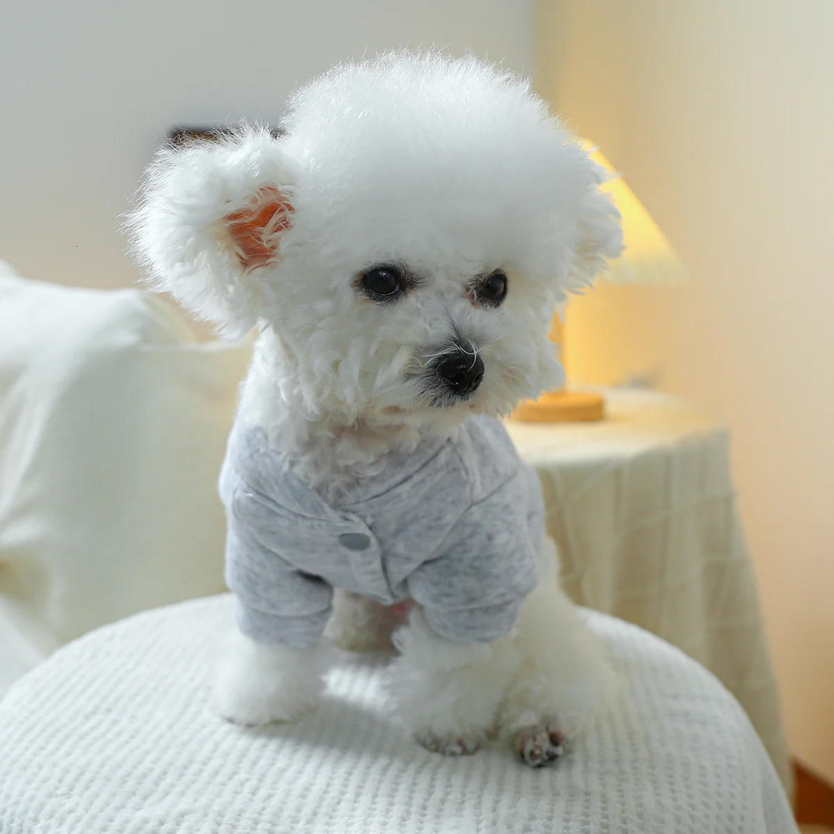 1PC Pet Clothing Dog Cat Valentines Day Red Love Coat with Drawstring Buckle Suitable for Small and Medium sized Dogs 250729