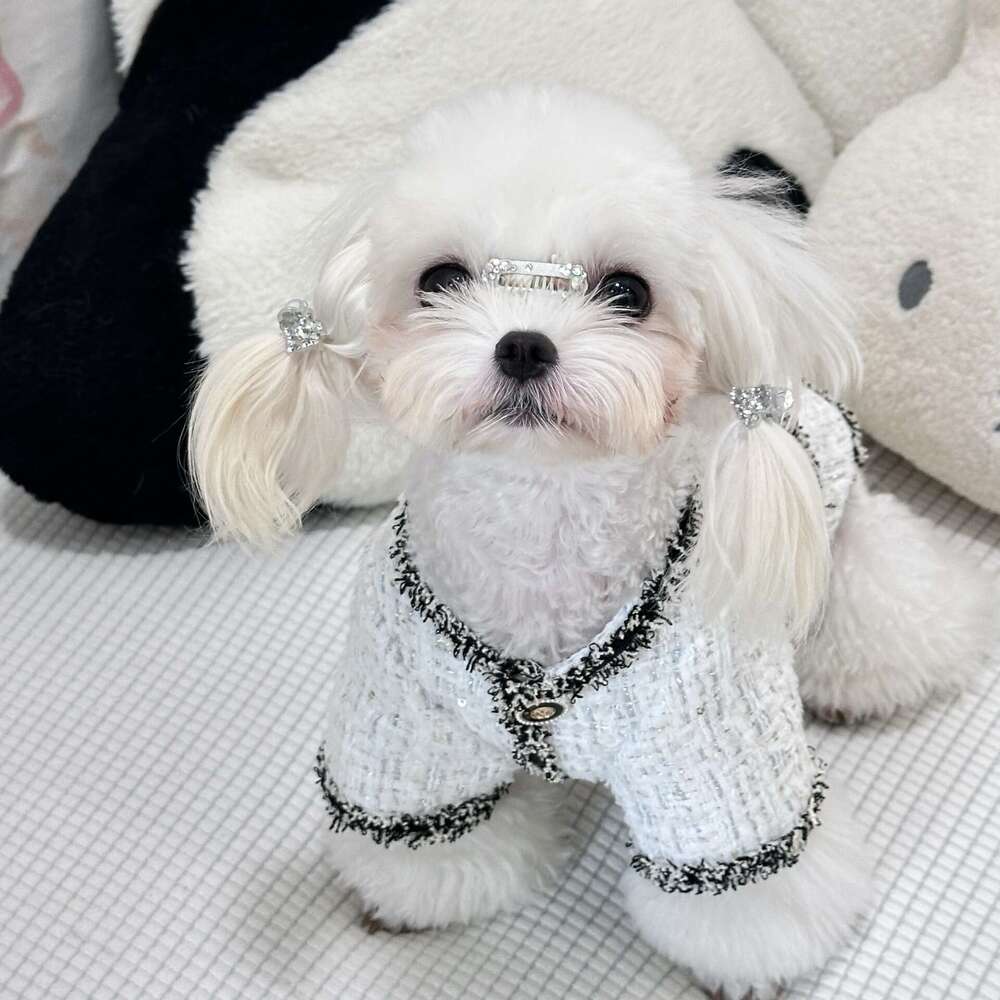 Cute Coat Cat Pet Dress High-End Little Chanel Style Dog Clothes