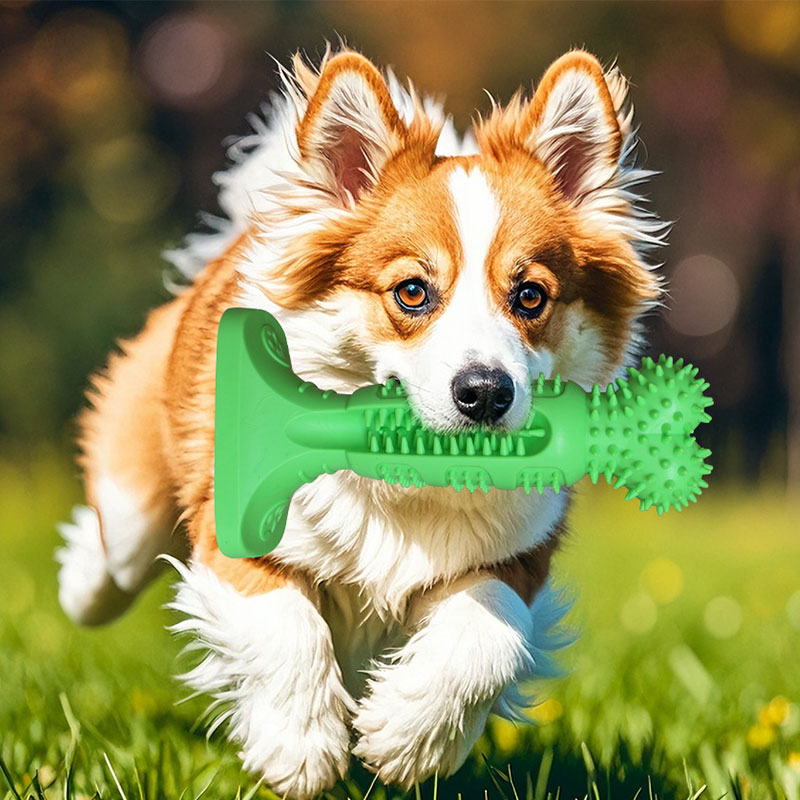 Dog chewing stick toothbrush - cannot damage teeth, oral hygiene pet toy Grinding Teeth Creative Chew Toy For Small Medium Dog