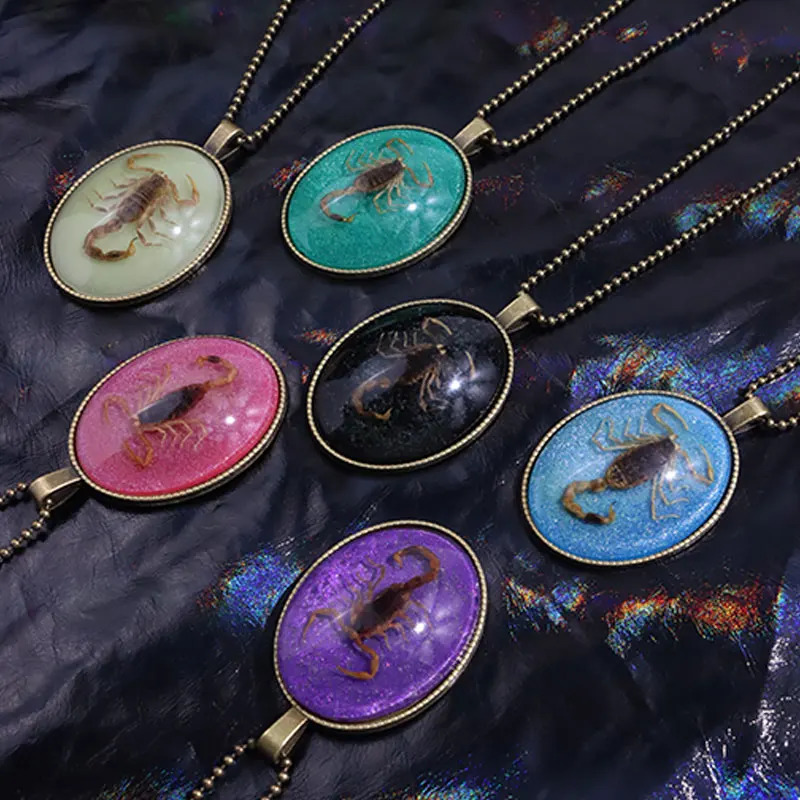 Resin Scorpion Insect Necklace for Women Men Unisex CyberPunk Gothic Couple Jewelry Gift HUANZHI Oval Pendant Neck Chain 250729