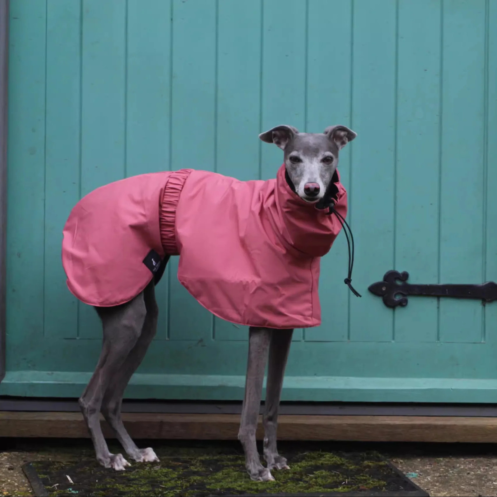 Fashion Adjustable Greyhound Whippet Raincoat Waterproof Windproof Berlington Terrier Soft Dog Vest Jacket for Media Large Dogs 250729