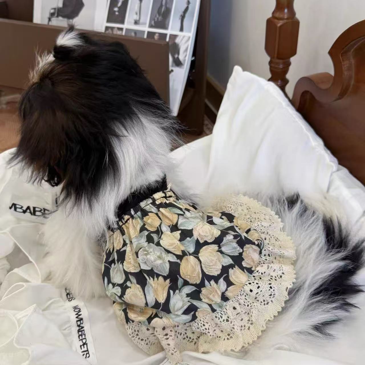 T859 Black lace floral contrast dress dog pet clothes Maltese