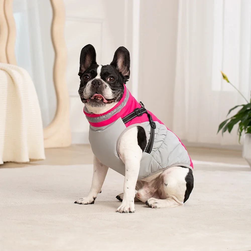 Waterproof Pet Jacket With Harness Winter Warm Dog Clothes for Small Large Dogs Labrador Coat Chihuahua French Bulldog Outfits 250729