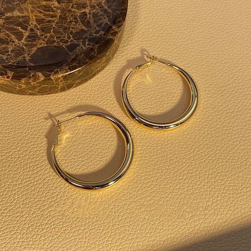 Free Shipping Designer Luxury Jewelry High-end Women's Round Earrings Fashionable Texture Smooth Metal Ring Earrings Niche Ear Hook