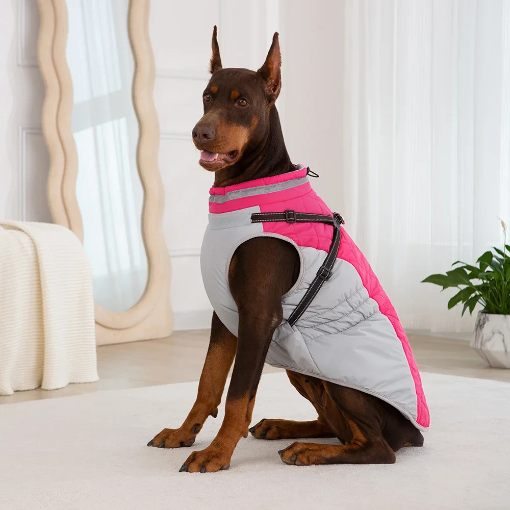 Waterproof Pet Jacket With Harness Winter Warm Dog Clothes for Small Large Dogs Labrador Coat Chihuahua French Bulldog Outfits 250729