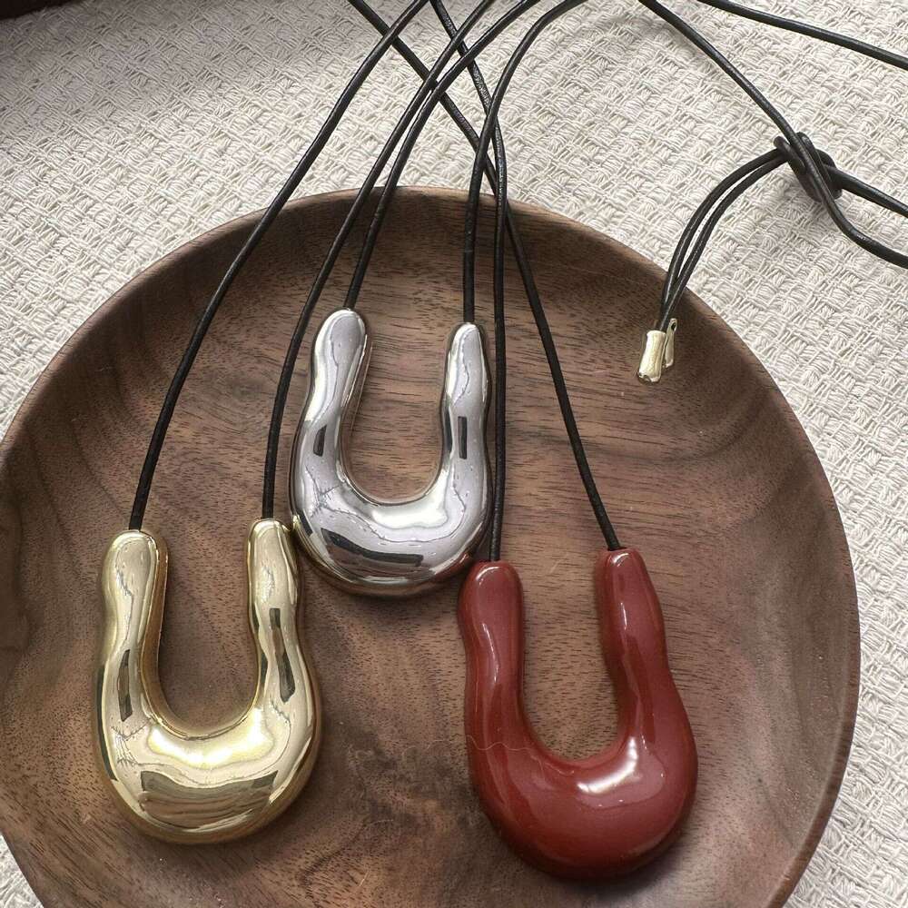 U-Shaped Metal Horseshoe Necklace for Women, Autumn and Winter Light Niche Long Pendant Accessory with a Sense of Sophistication, Sweater Chain 790