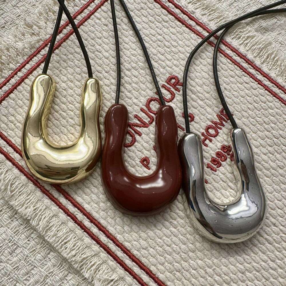 U-Shaped Metal Horseshoe Necklace for Women, Autumn and Winter Light Niche Long Pendant Accessory with a Sense of Sophistication, Sweater Chain 790