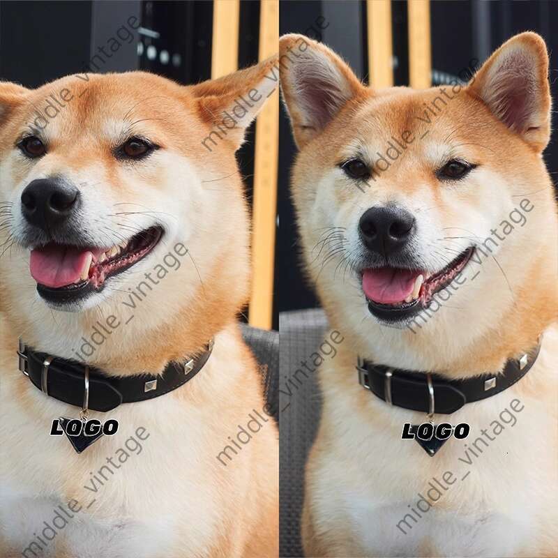 Cat Pet Bag Dog Leash Dog Collar Dog Bag Set Leather Small And Medium Cat Dog Teeth French Bulldog Collar Set Coll Pet Supplies