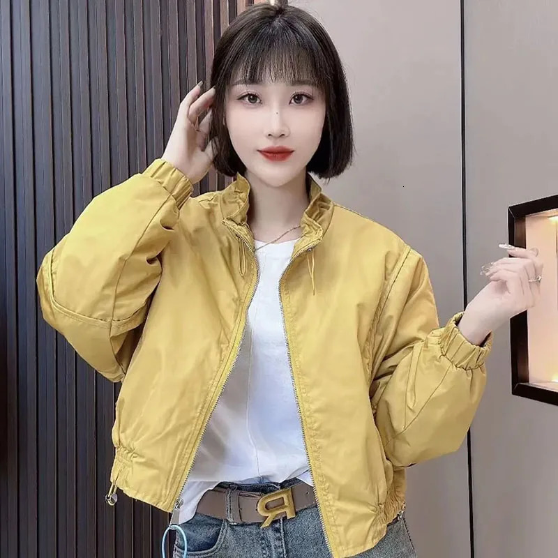 2025 Edition Standing Zipper Short Jacket Spring Autumn Womens Korean Loose Casual Splicing Baseball Coat Female Windproof 250728